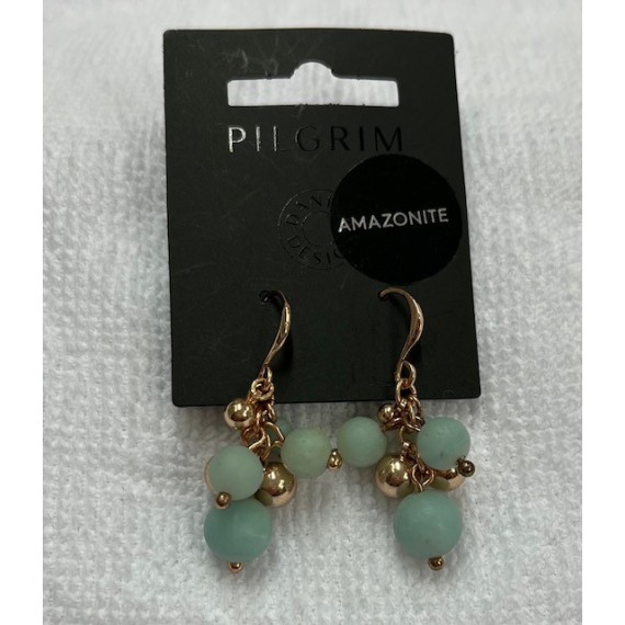 Pilgrim Earth Earrings