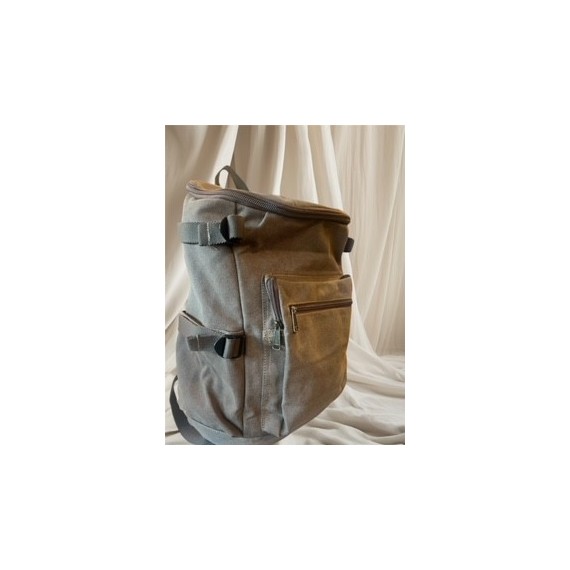 TED COLE Backpack