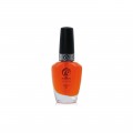 RobyNails Cuticle Oil 10 ml Strawberry