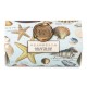 Michel Design Works Shea Butter Seashells