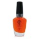 RobyNails Cuticle Oil 10 ml