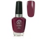 RobyNails ND Violet Addict 22073