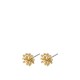 Pilgrim Benedita Earrings